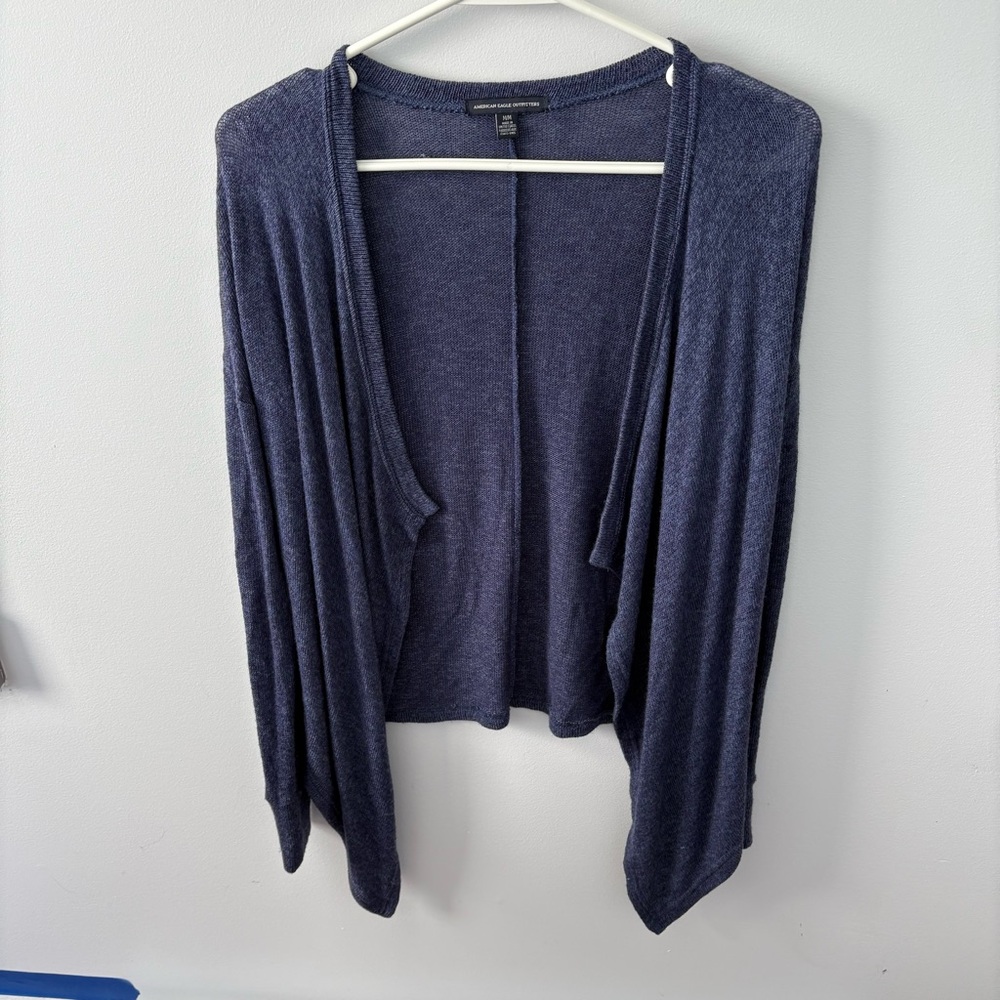 American Eagle Outfitters Blue Cardigan Sweater